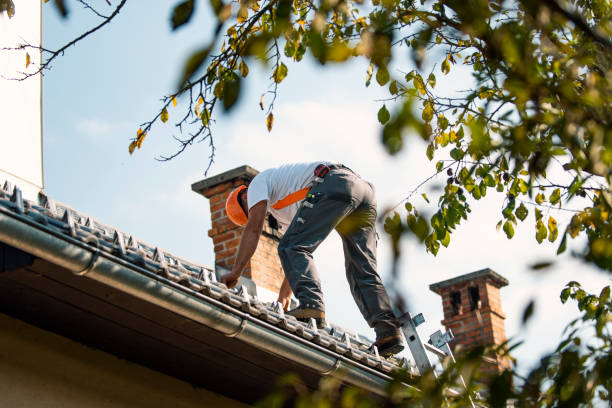 Best Emergency Roof Repair  in Silver Lake, FL