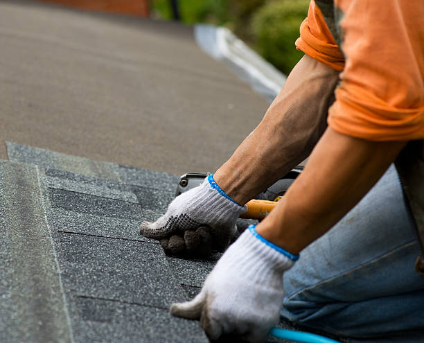 Best Roof Repair Services  in Silver Lake, FL