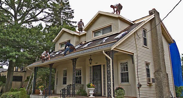 Best Roof Gutter Cleaning  in Silver Lake, FL