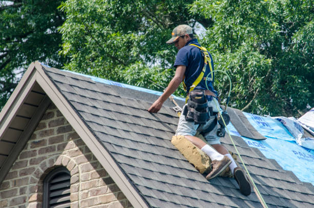 Best Metal Roofing Contractor  in Silver Lake, FL