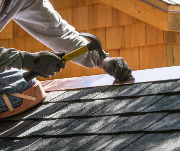 Roof Gutter Cleaning in Silver Lake, FL